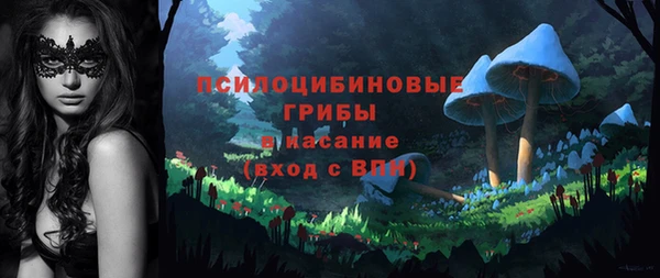 тгк Алексеевка