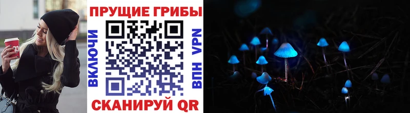 Псилоцибиновые грибы Psilocybe Лагань