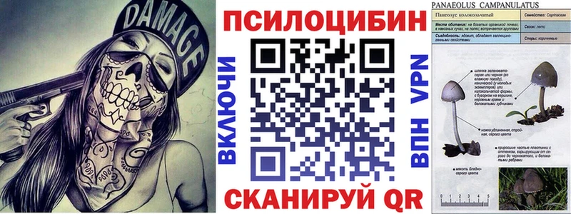 даркнет сайт  Лагань  Галлюциногенные грибы прущие грибы 